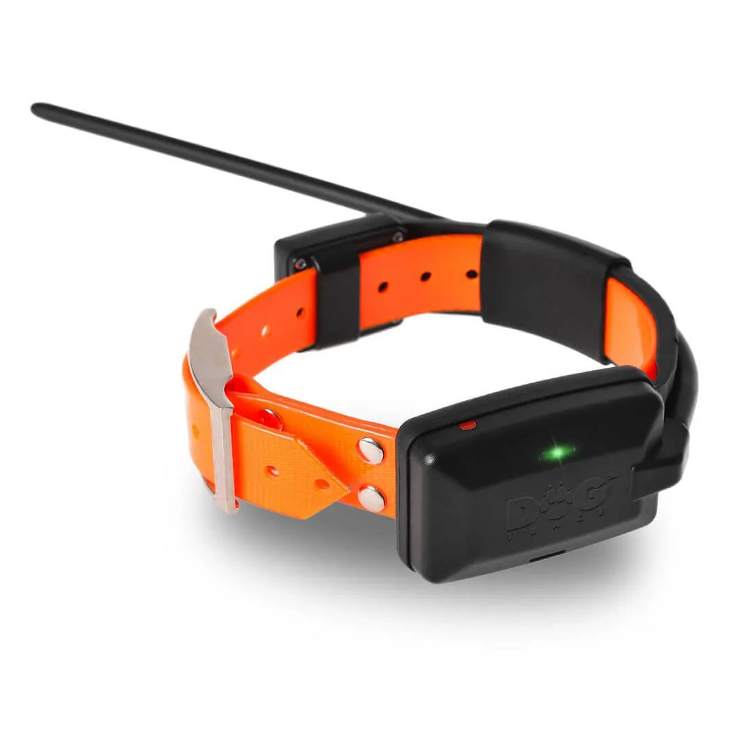Dogtrace DOG GPS X30 Halsbandsender mit Antenne an orangefarbenem Halsband (Herstellerbild Dogtrace)