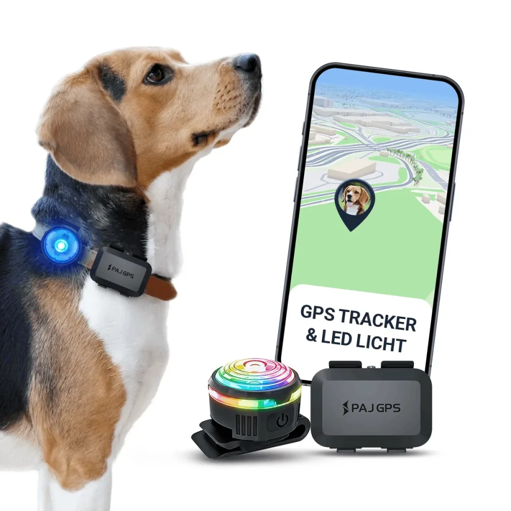 PAJ PET Finder 4G Mini am Hundehalsband (Herstellerbild)